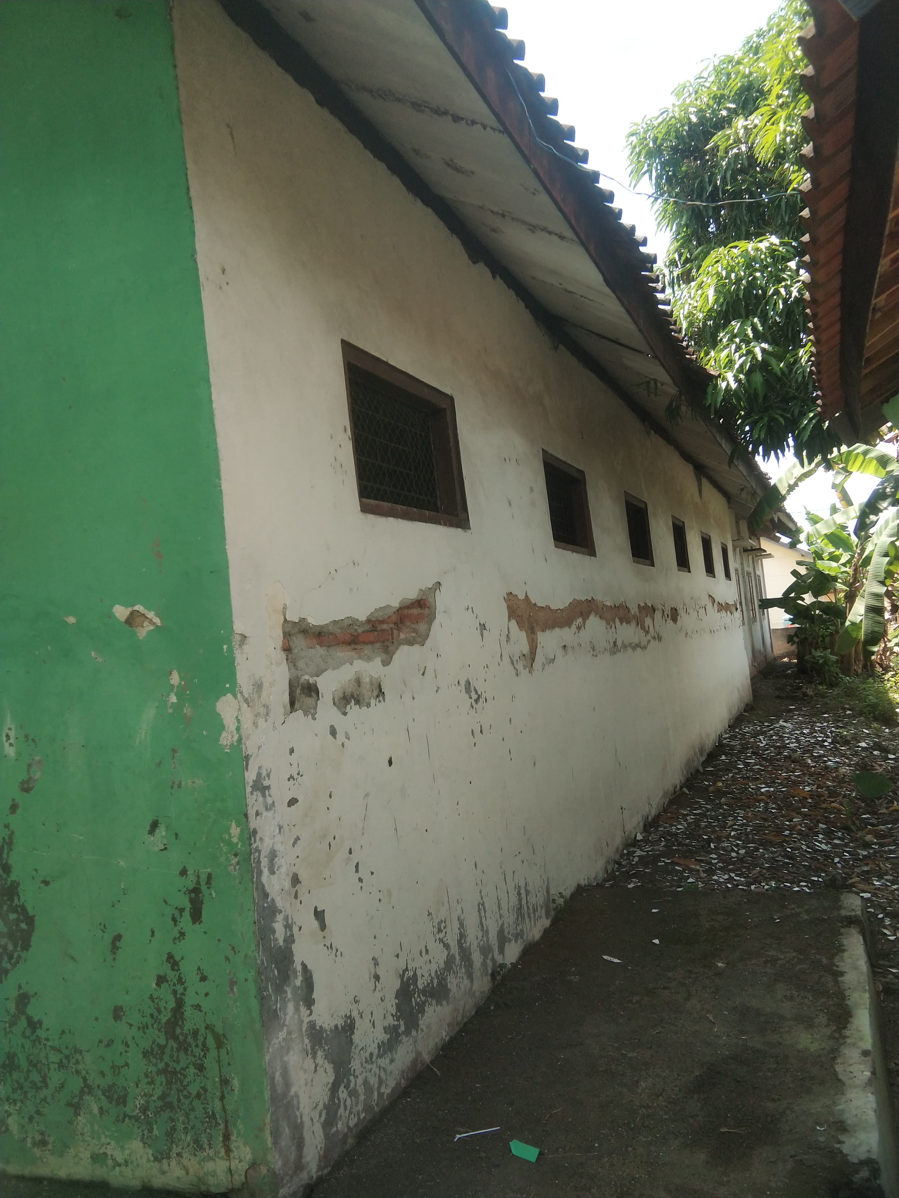 Tampak Belakang