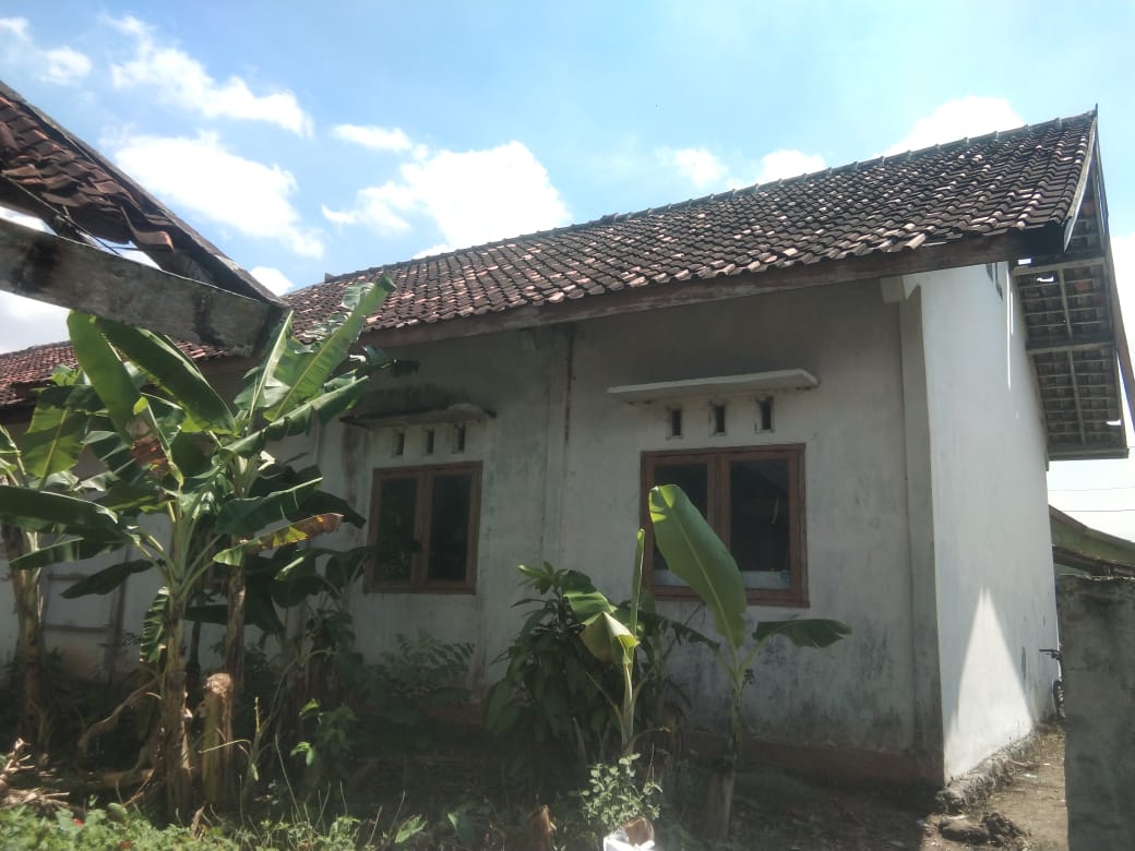 Tampak Belakang