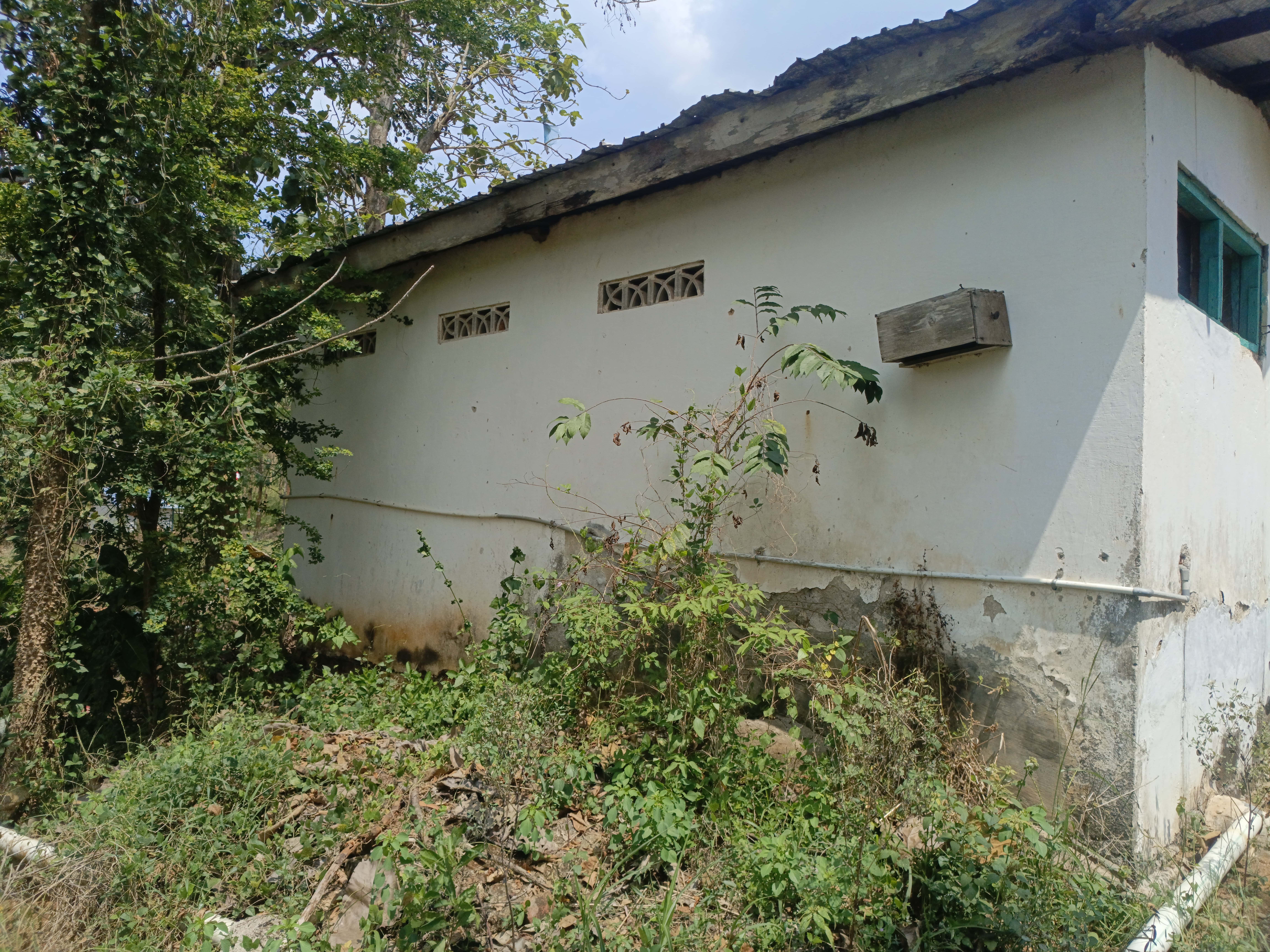 Tampak Belakang