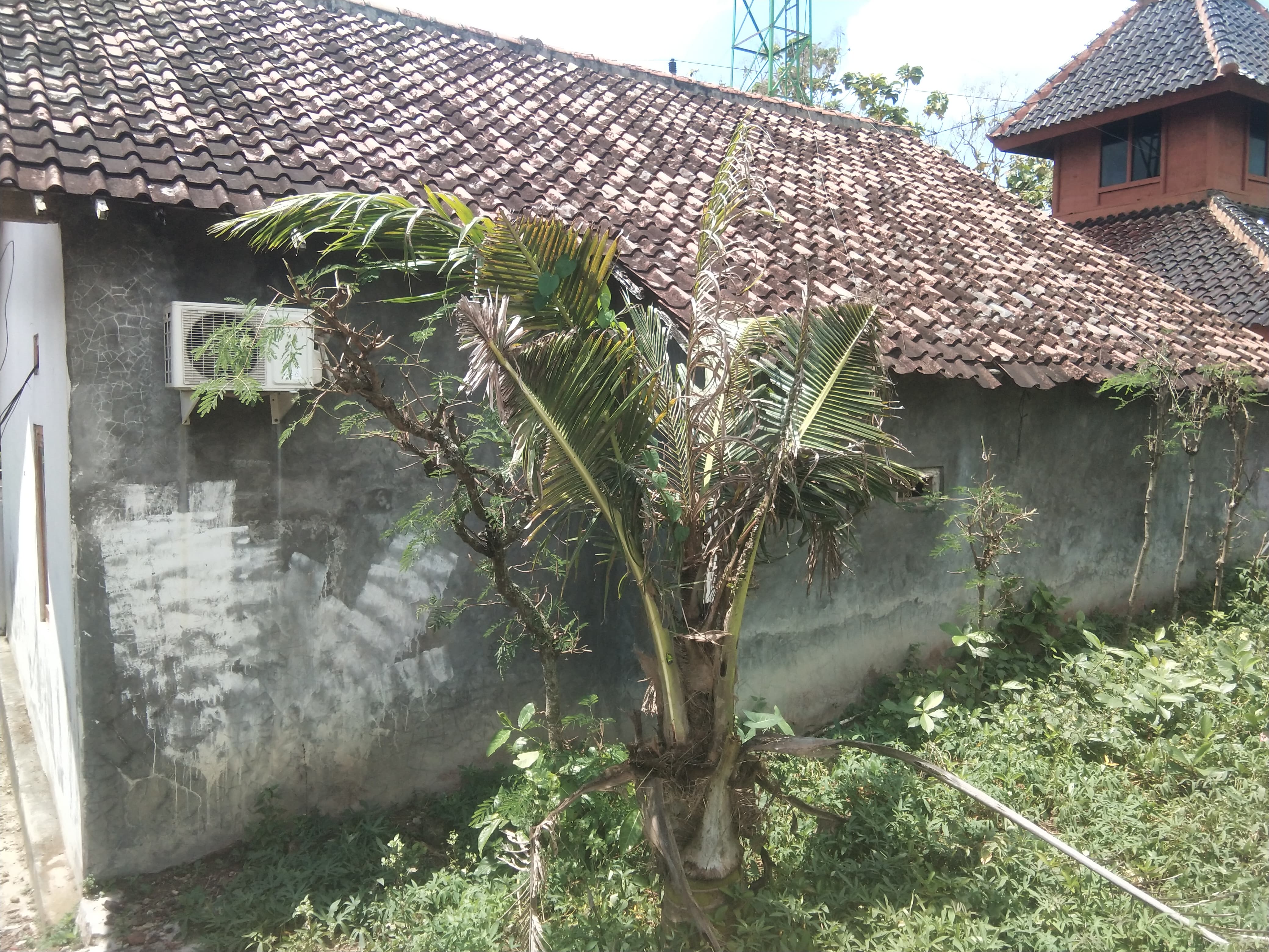 Tampak Belakang