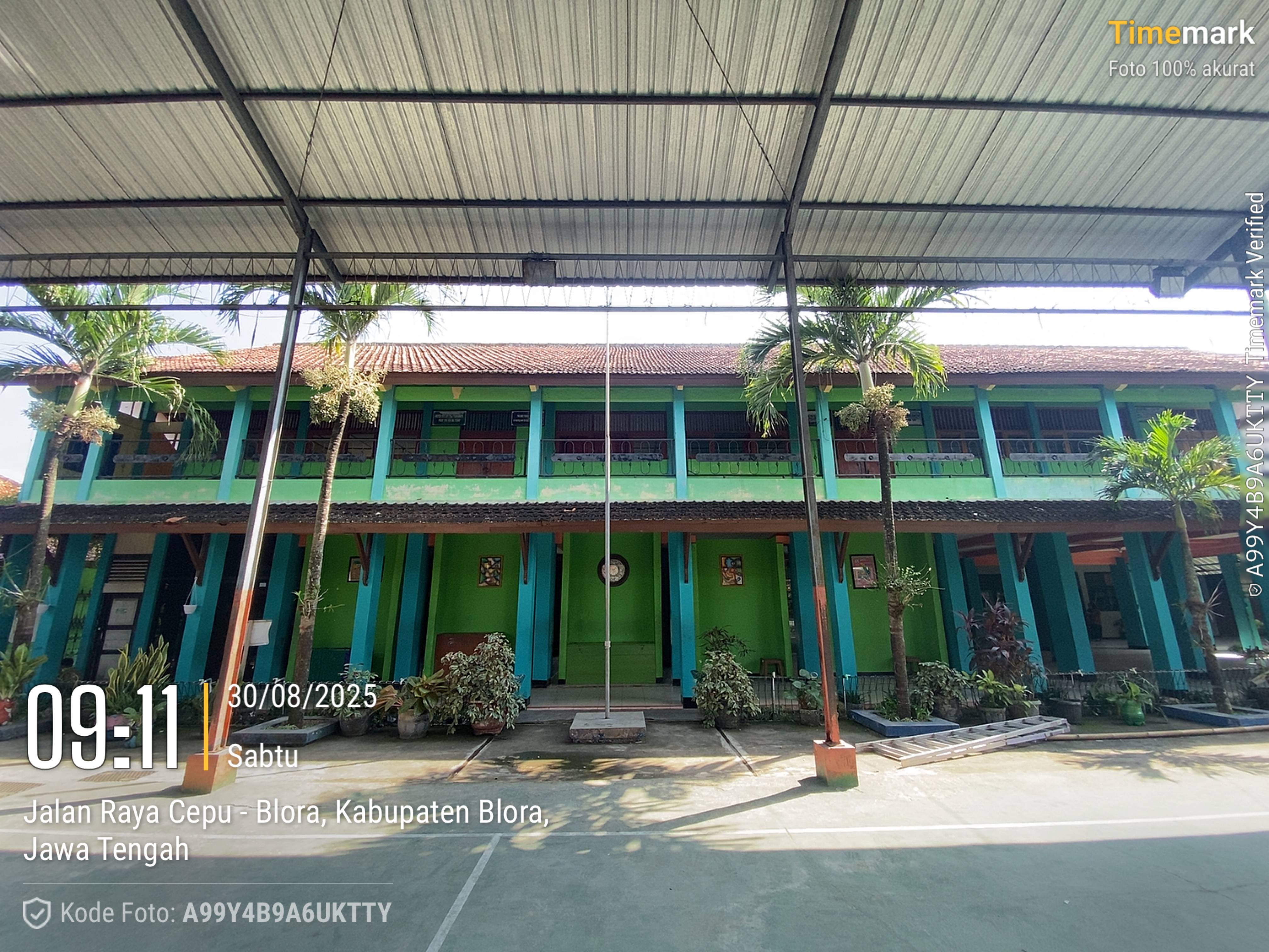 Tampak Belakang