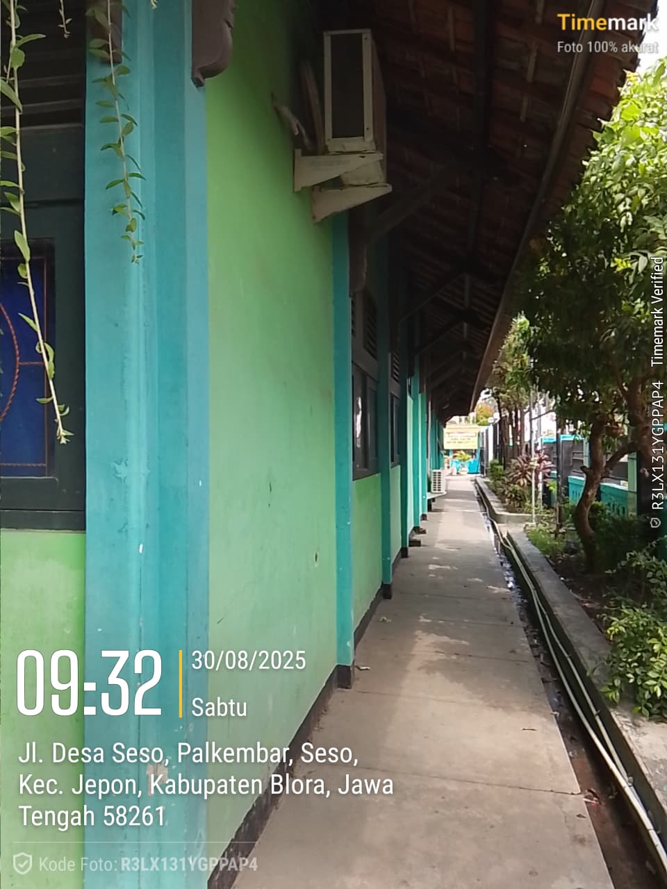 Tampak Belakang