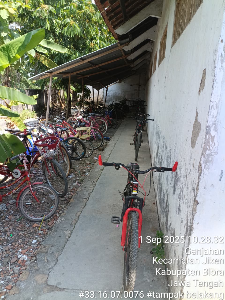 Tampak Belakang