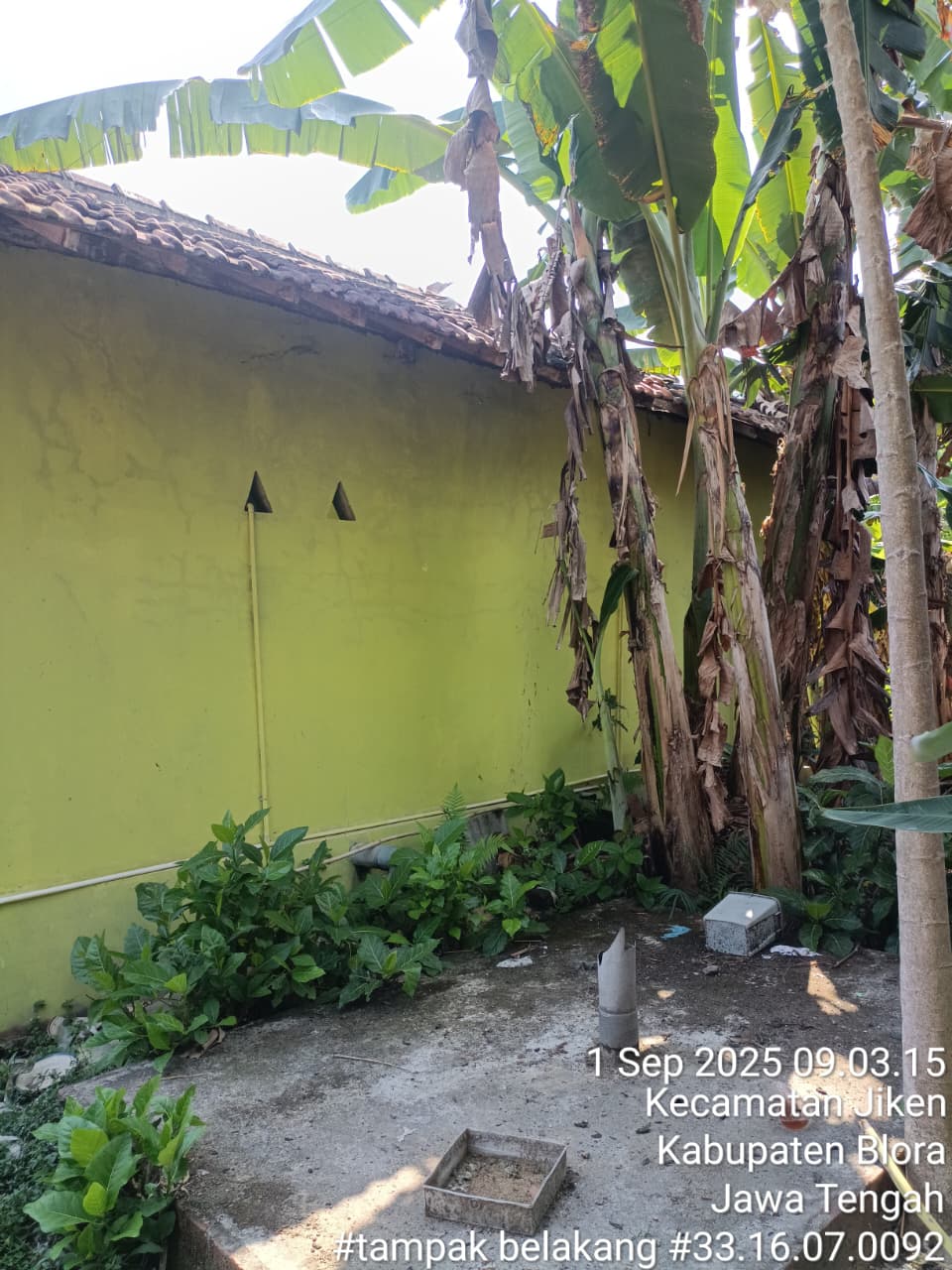 Tampak Belakang
