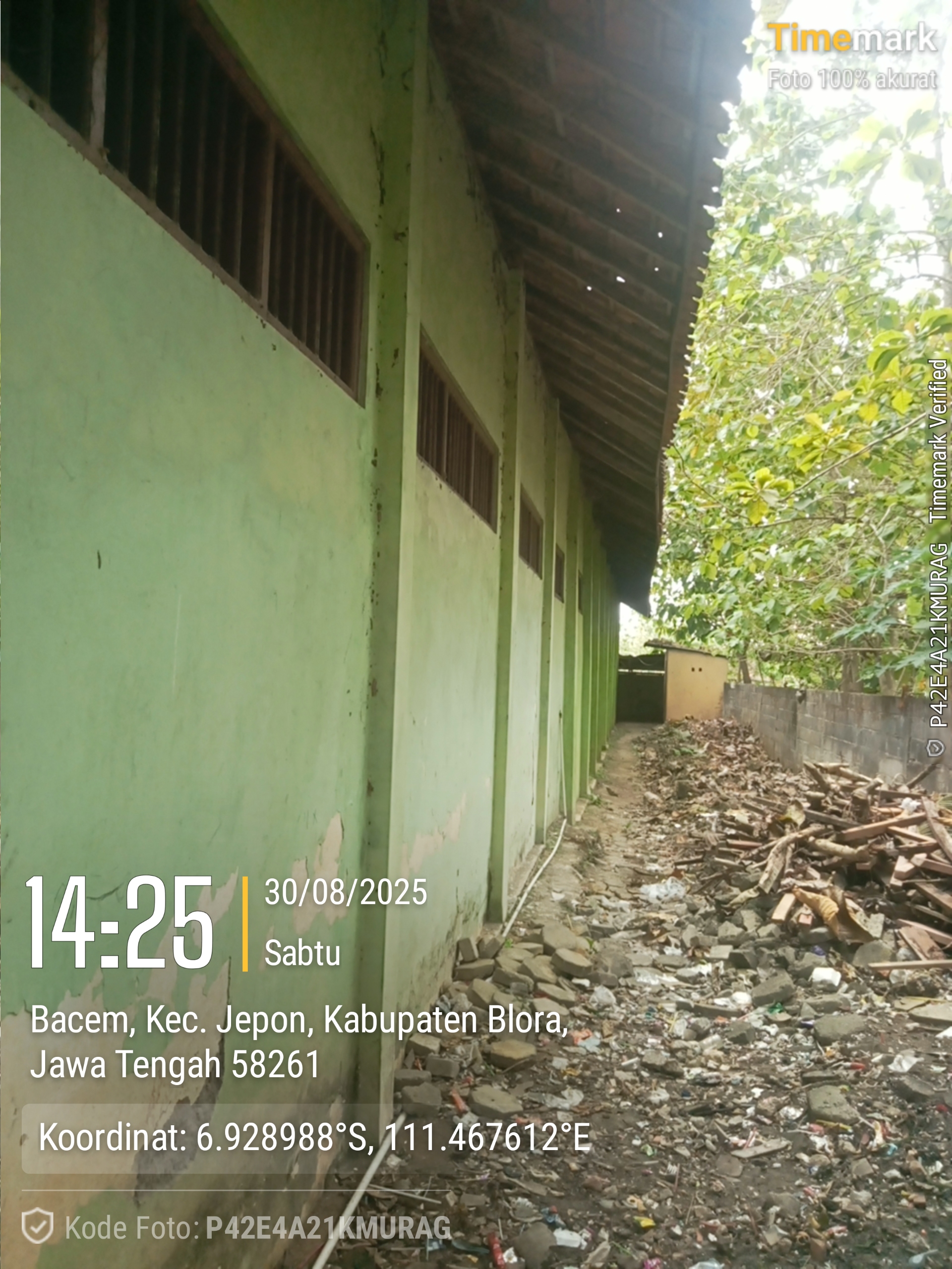 Tampak Belakang