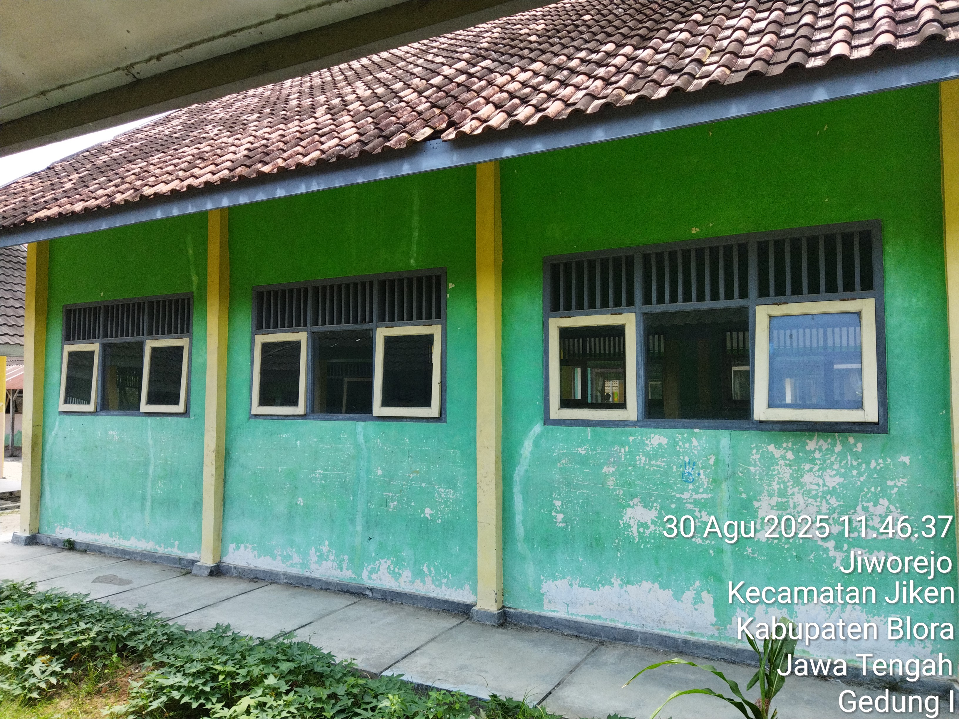 Tampak Belakang