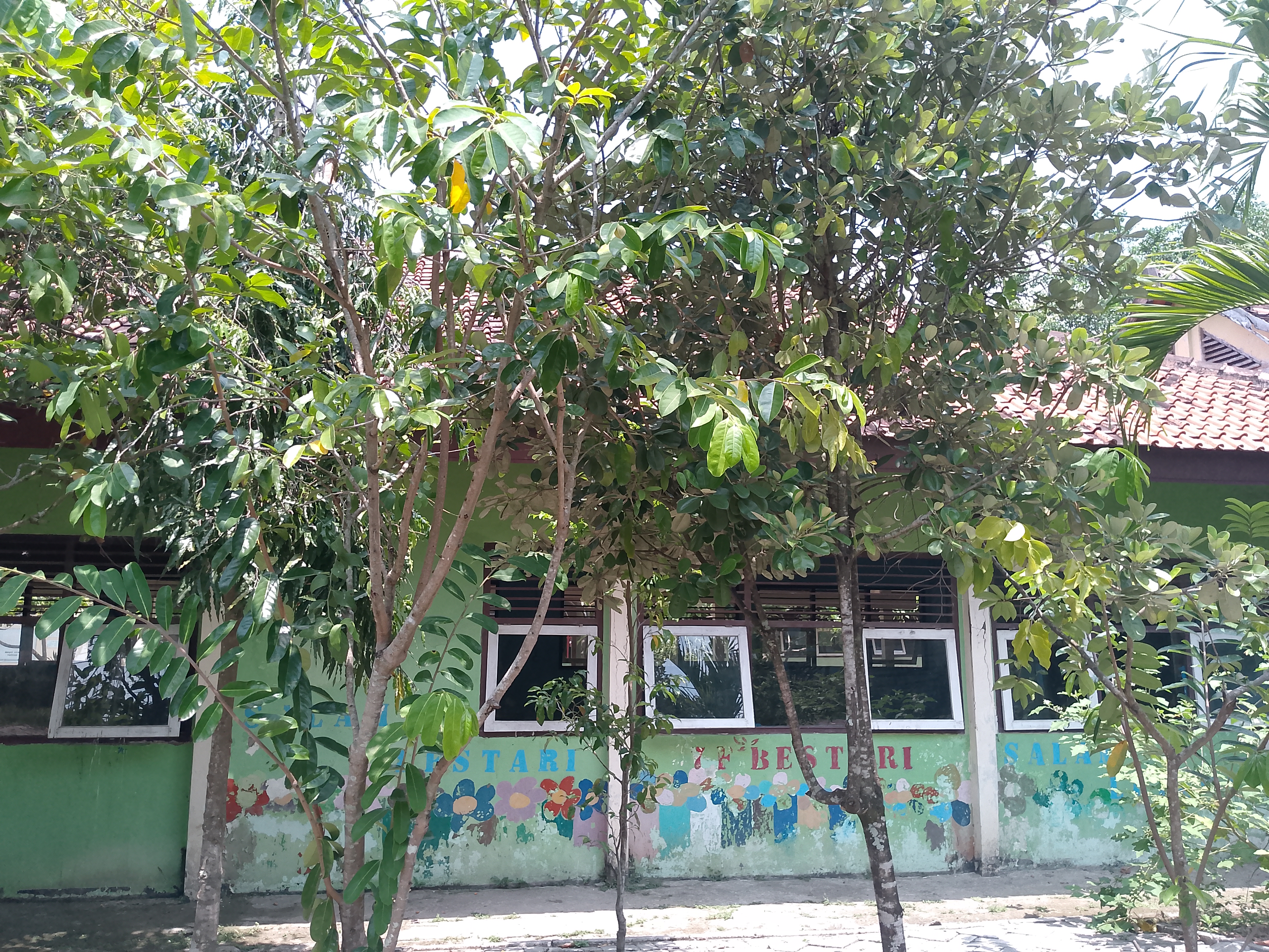 Tampak Belakang