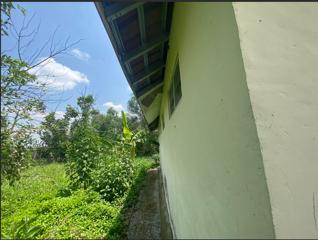 Tampak Belakang