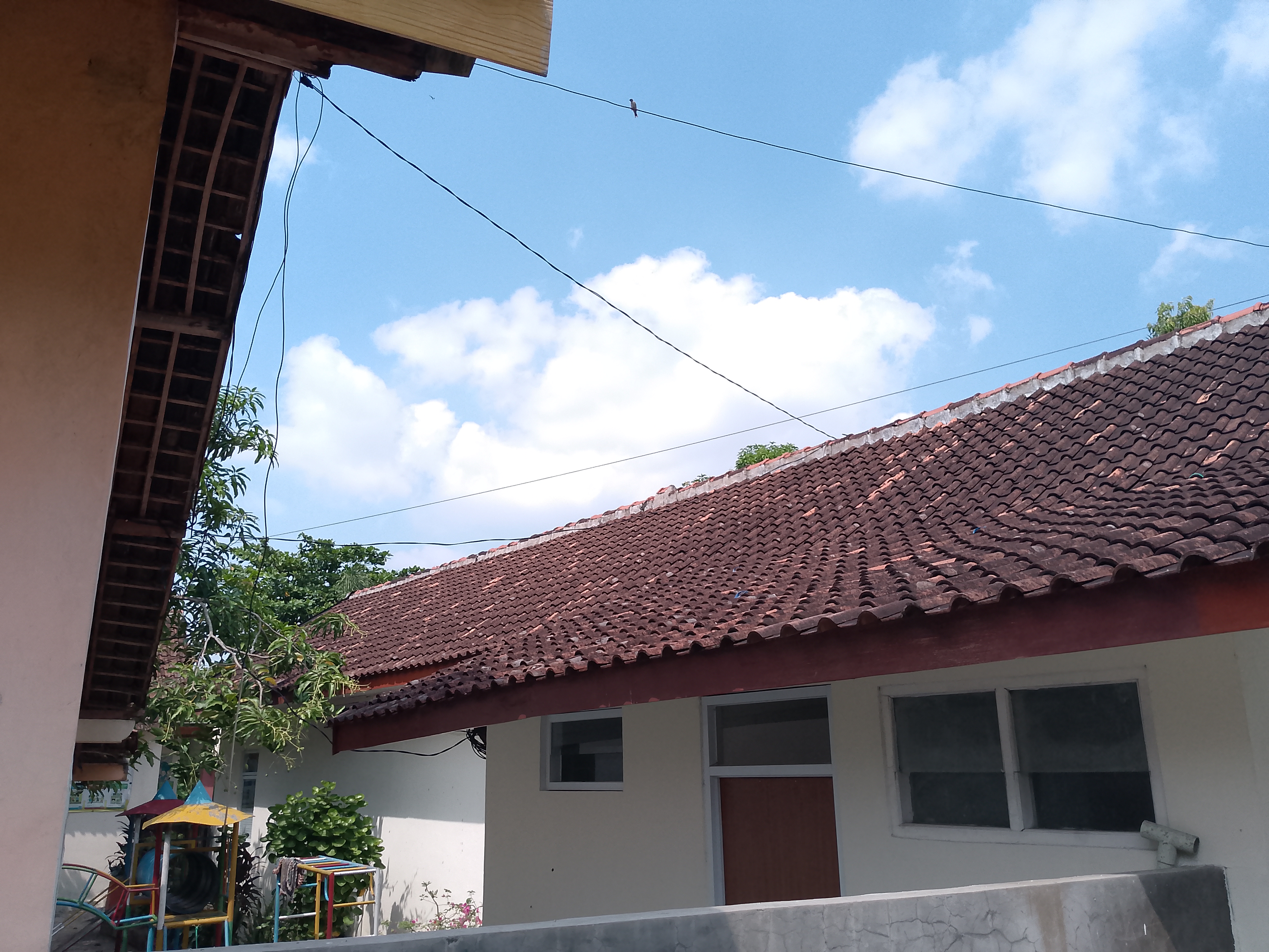 Tampak Belakang
