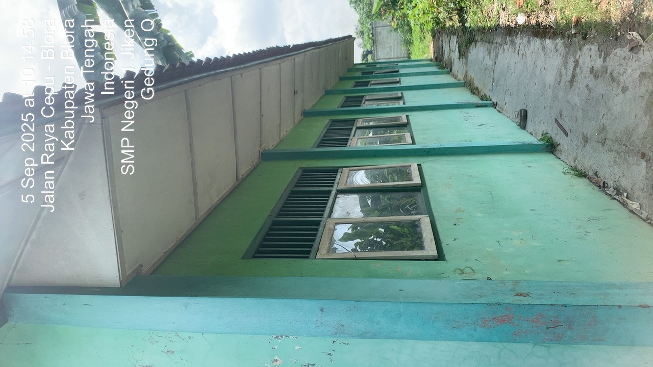 Tampak Belakang