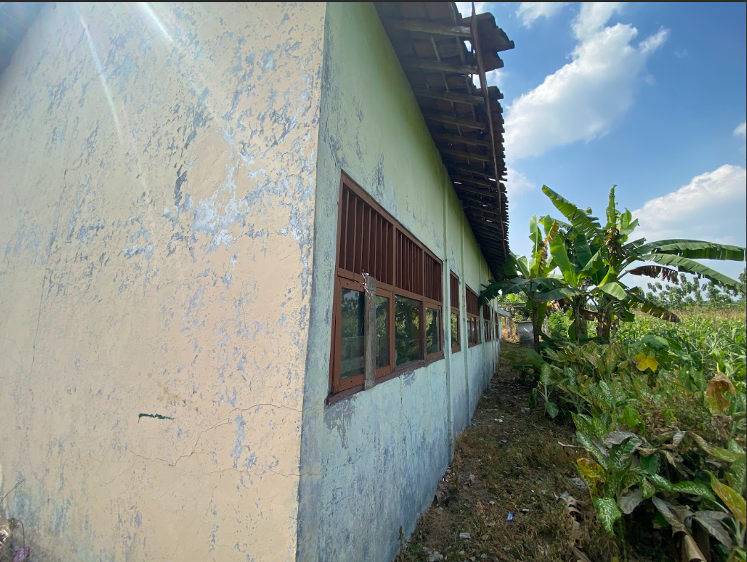 Tampak Belakang