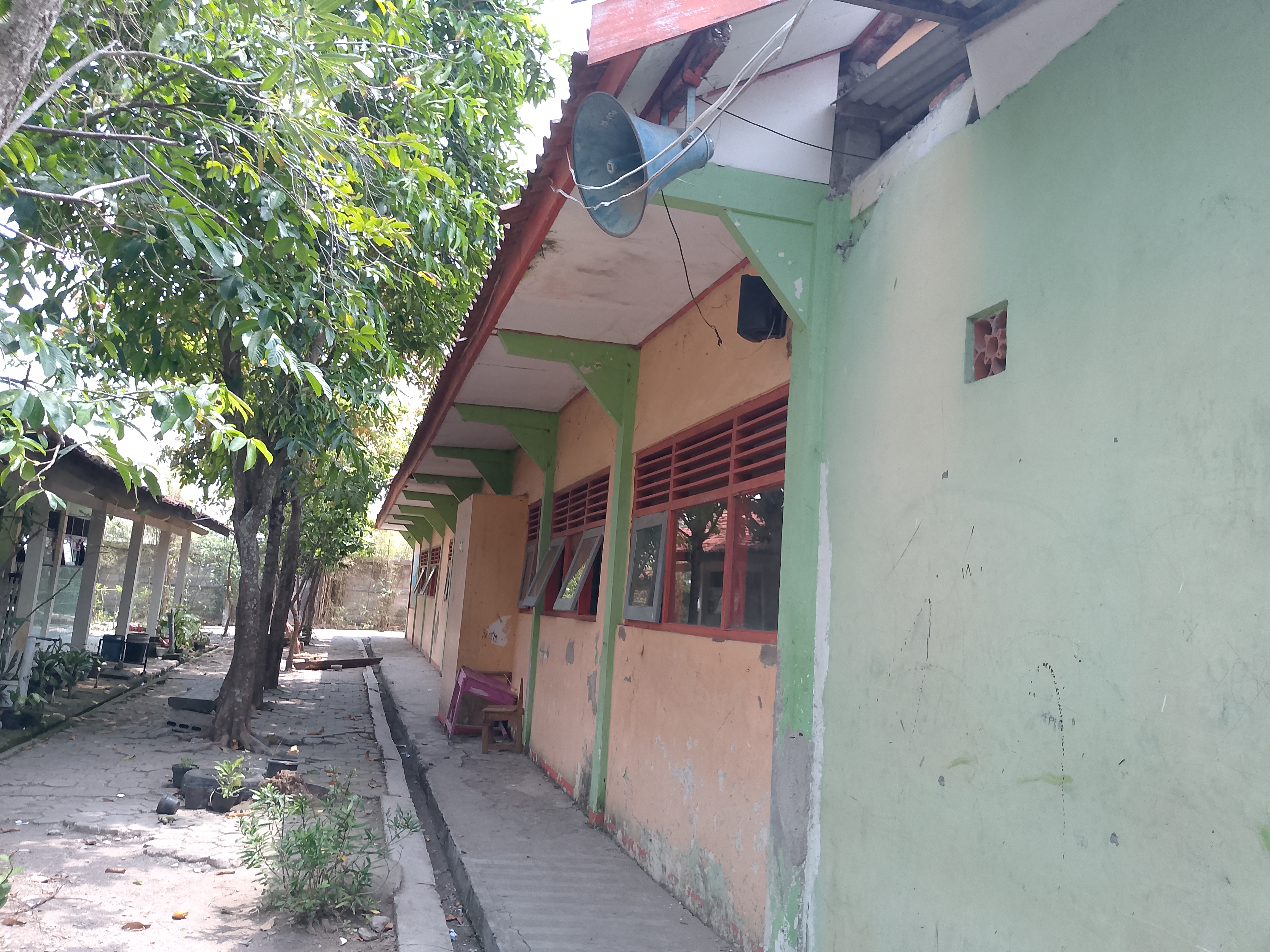 Tampak Belakang