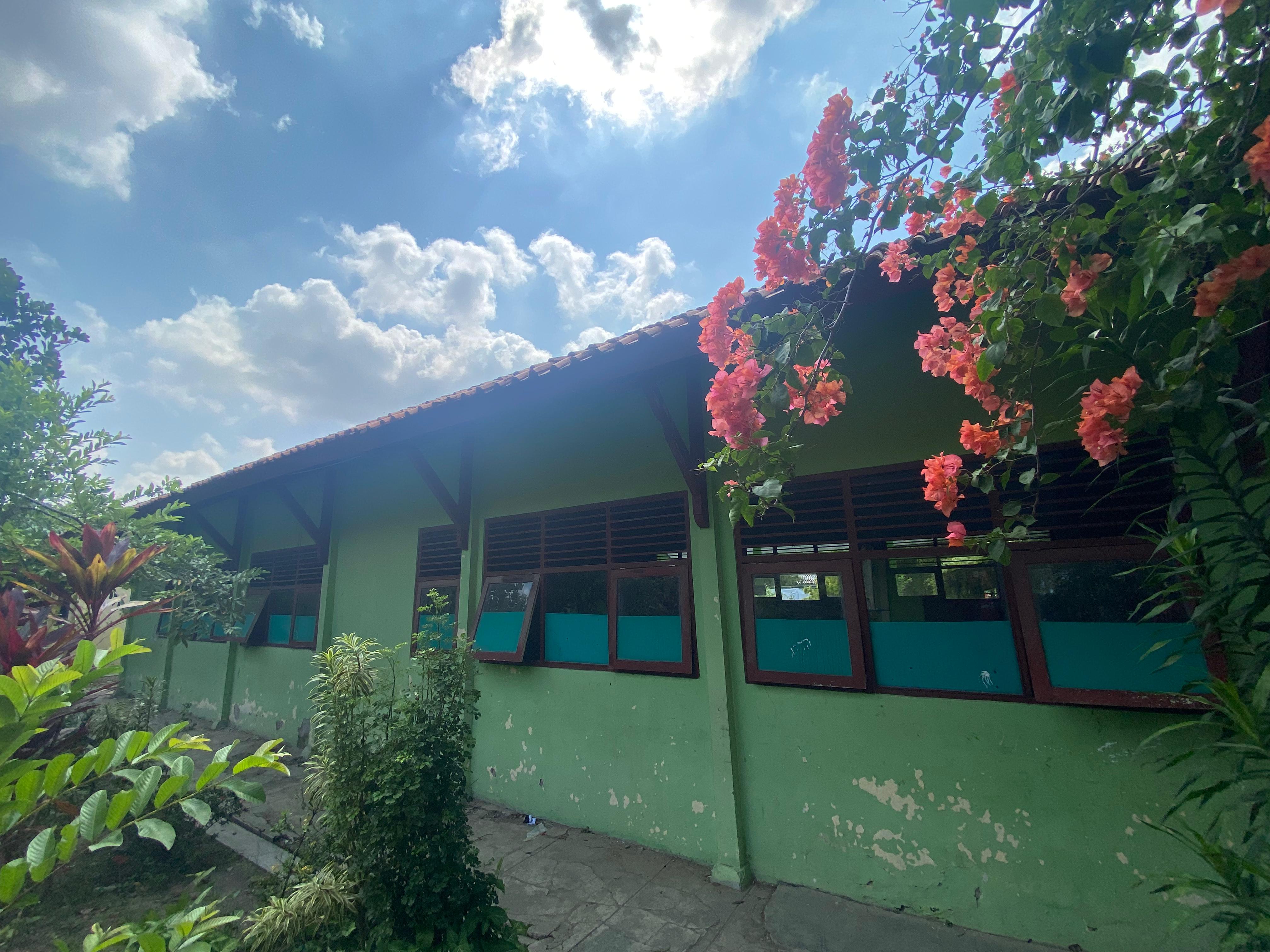 Tampak Belakang