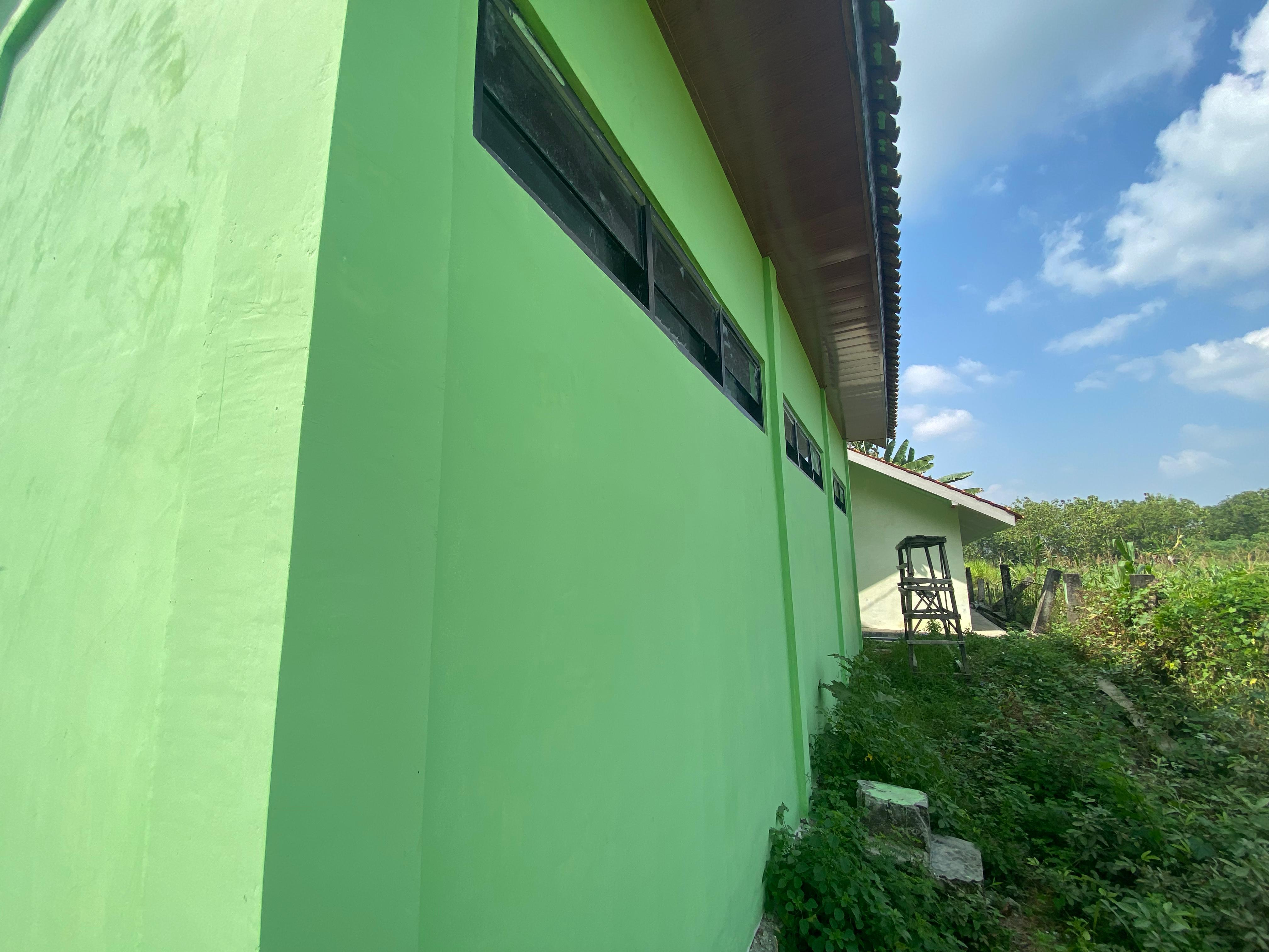 Tampak Belakang