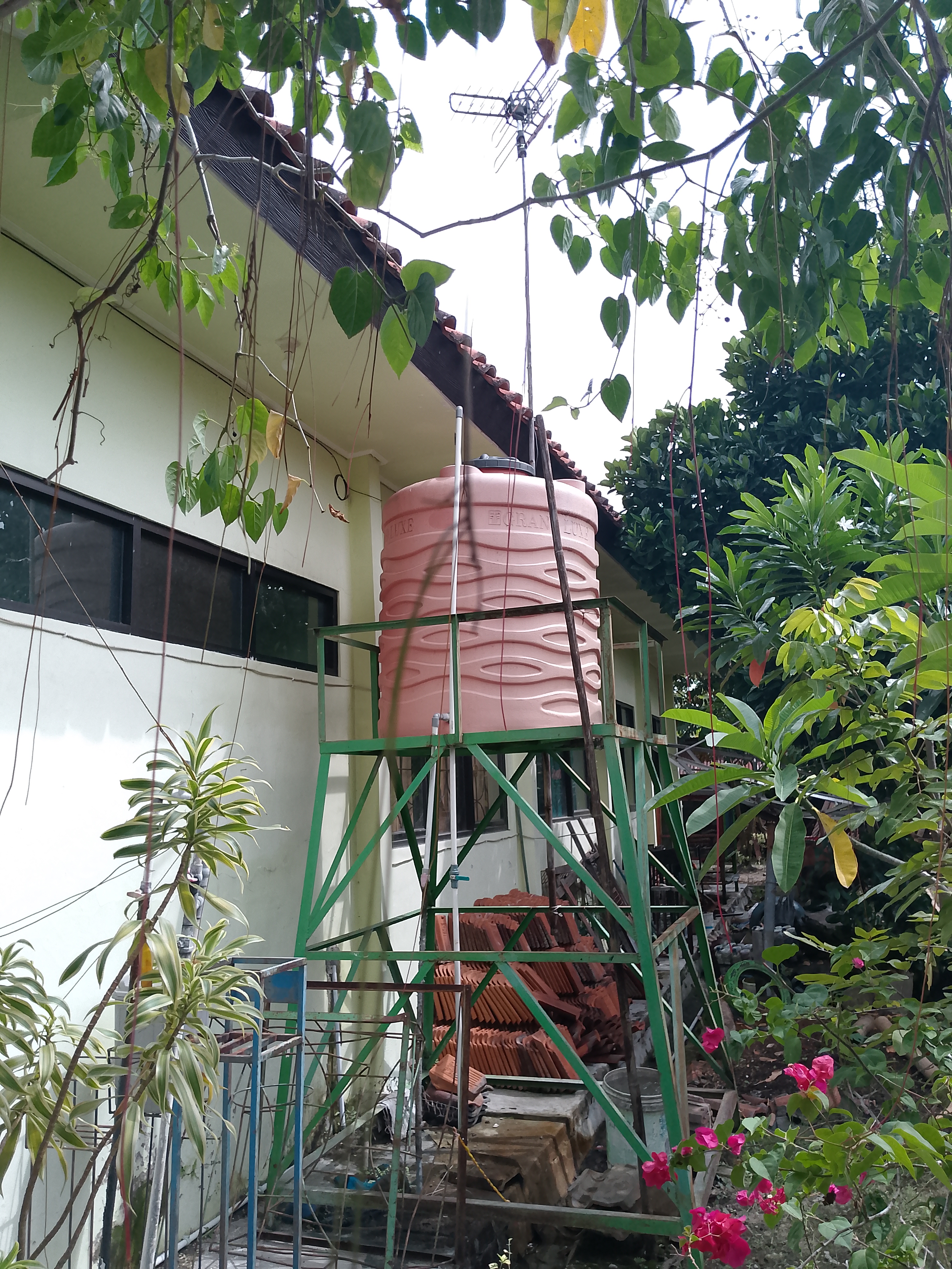 Tampak Belakang