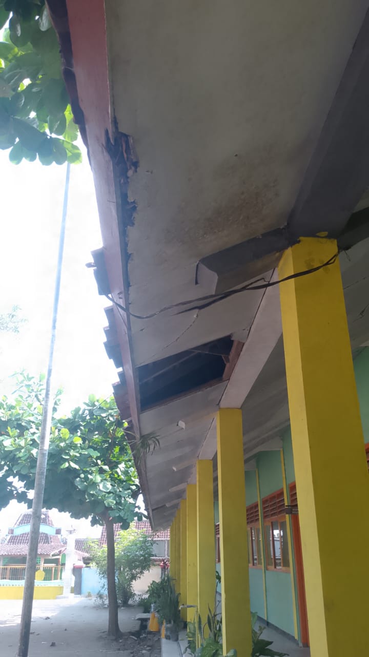 Tampak Belakang