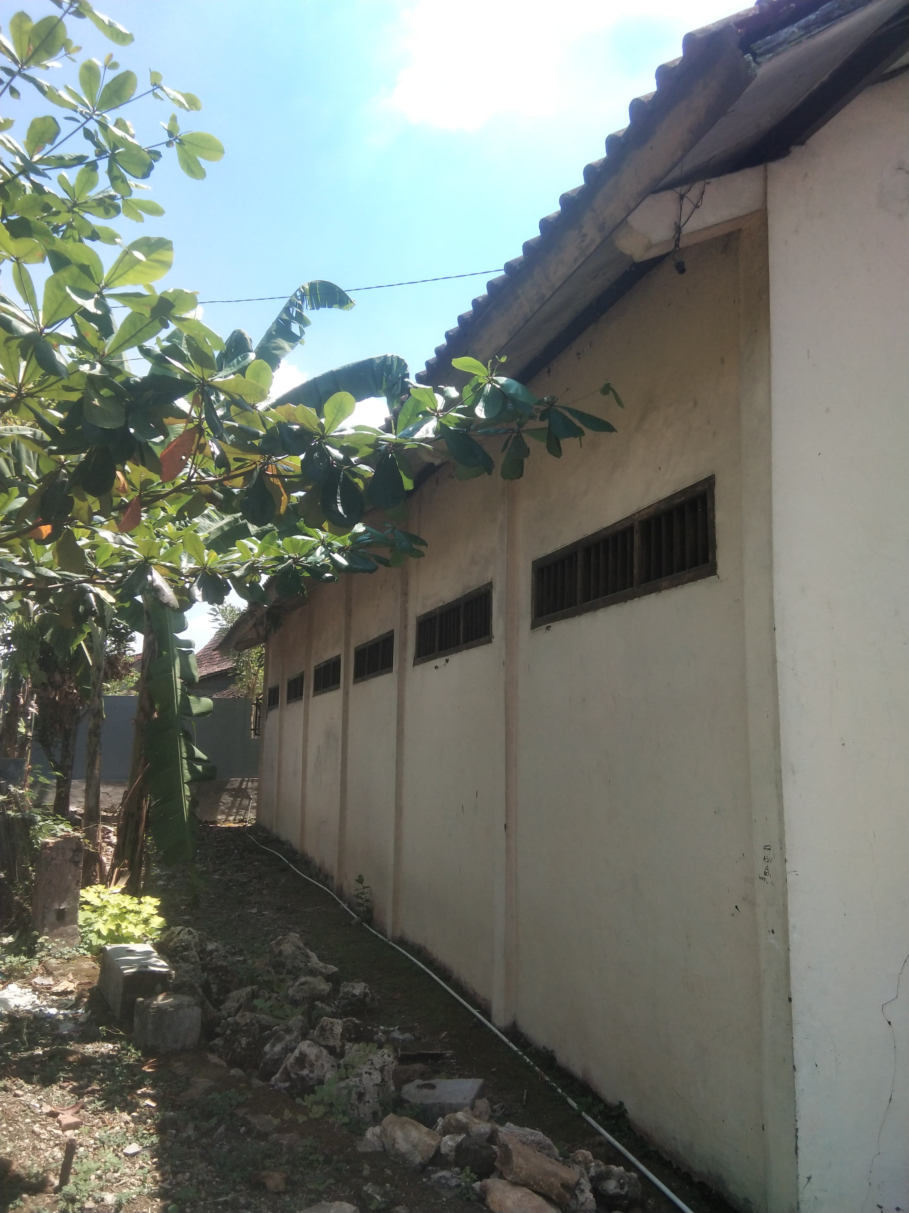 Tampak Belakang