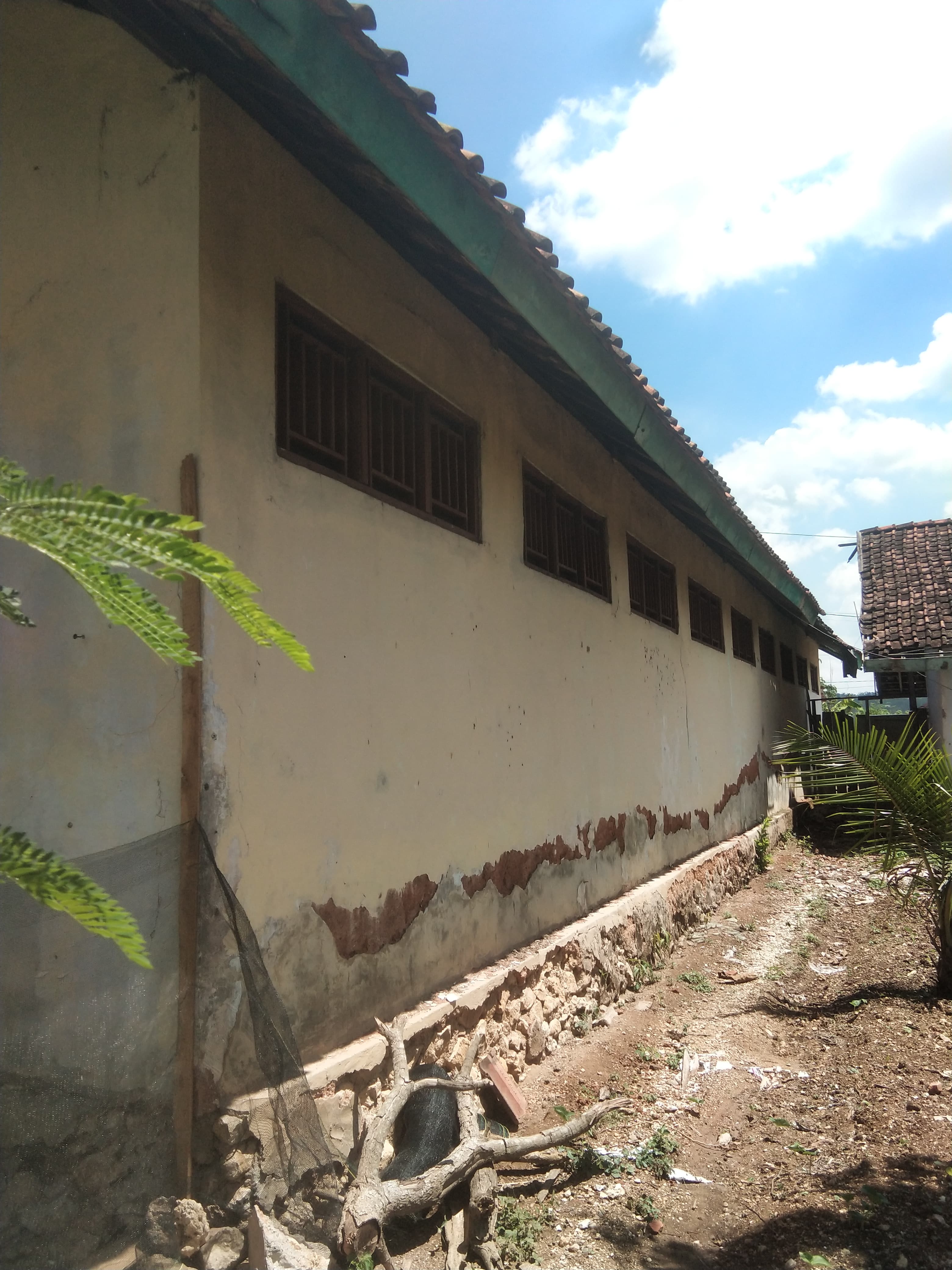 Tampak Belakang