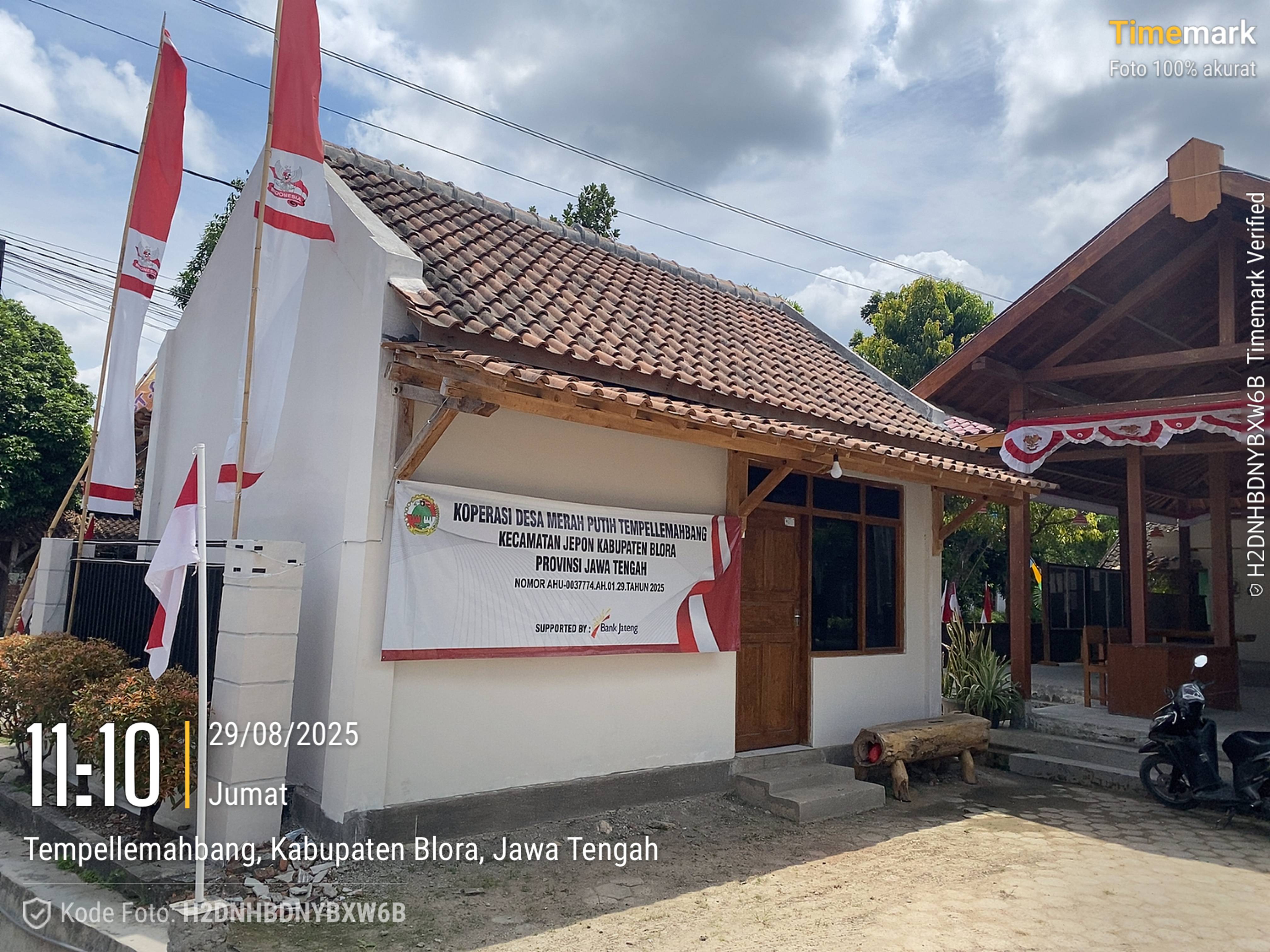Tampak Belakang