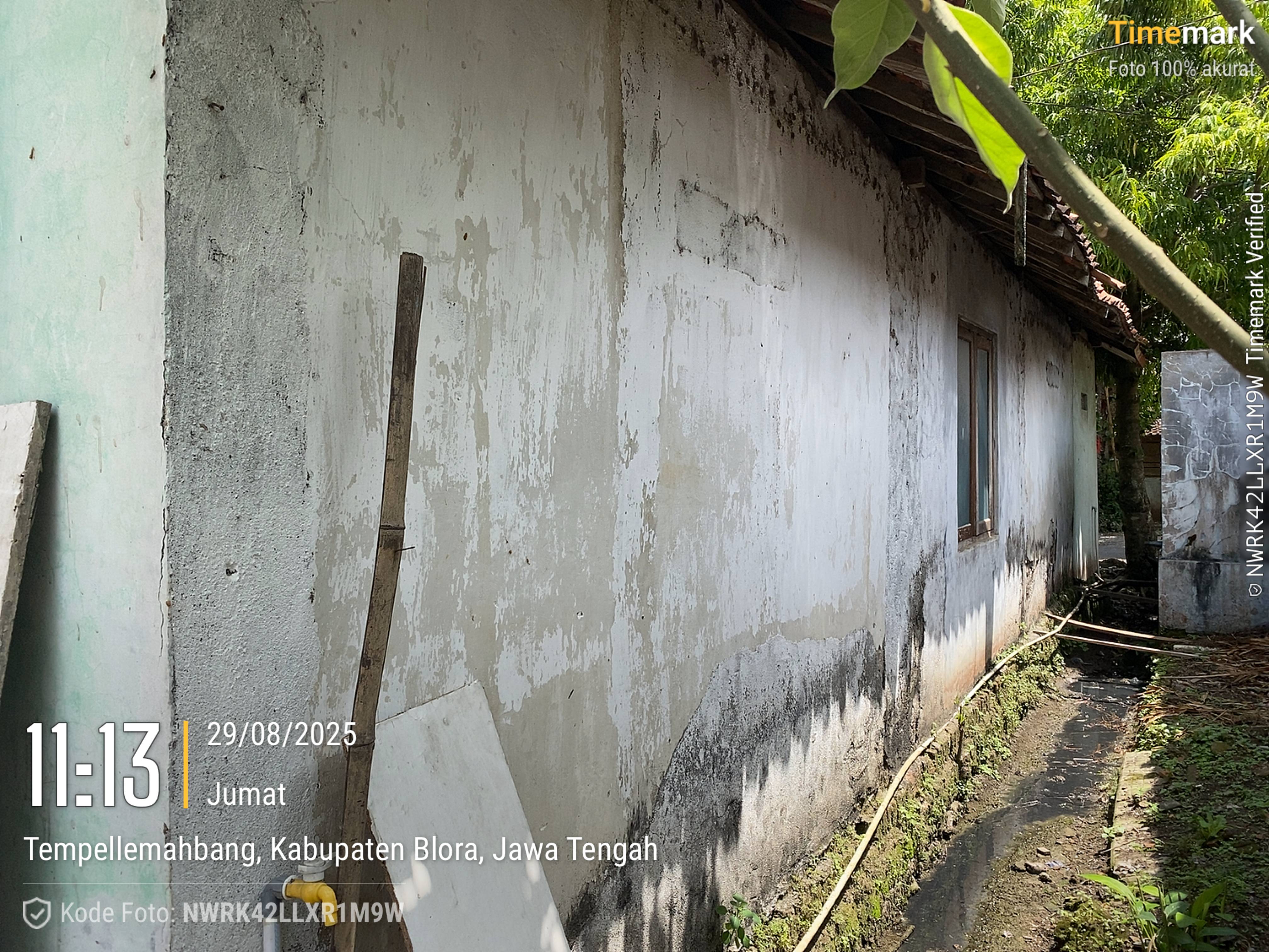 Tampak Belakang
