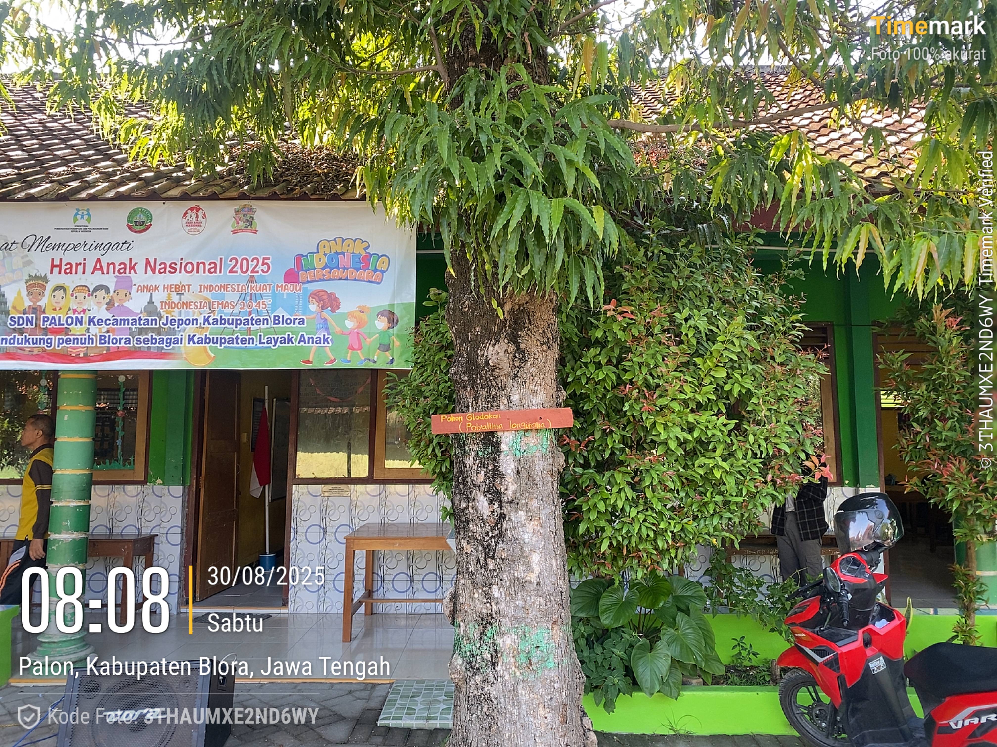 Tampak Samping 1