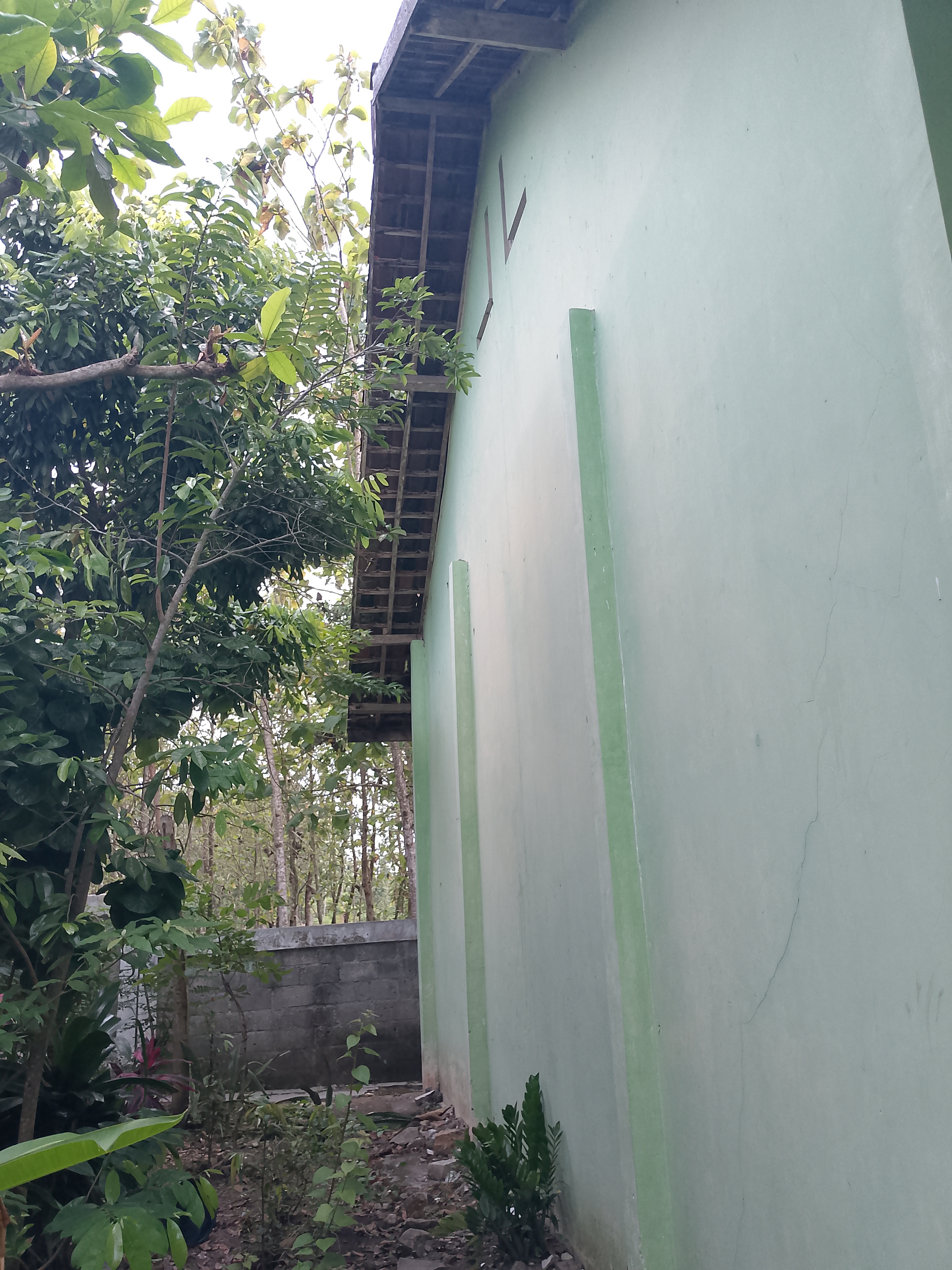 Tampak Samping 1
