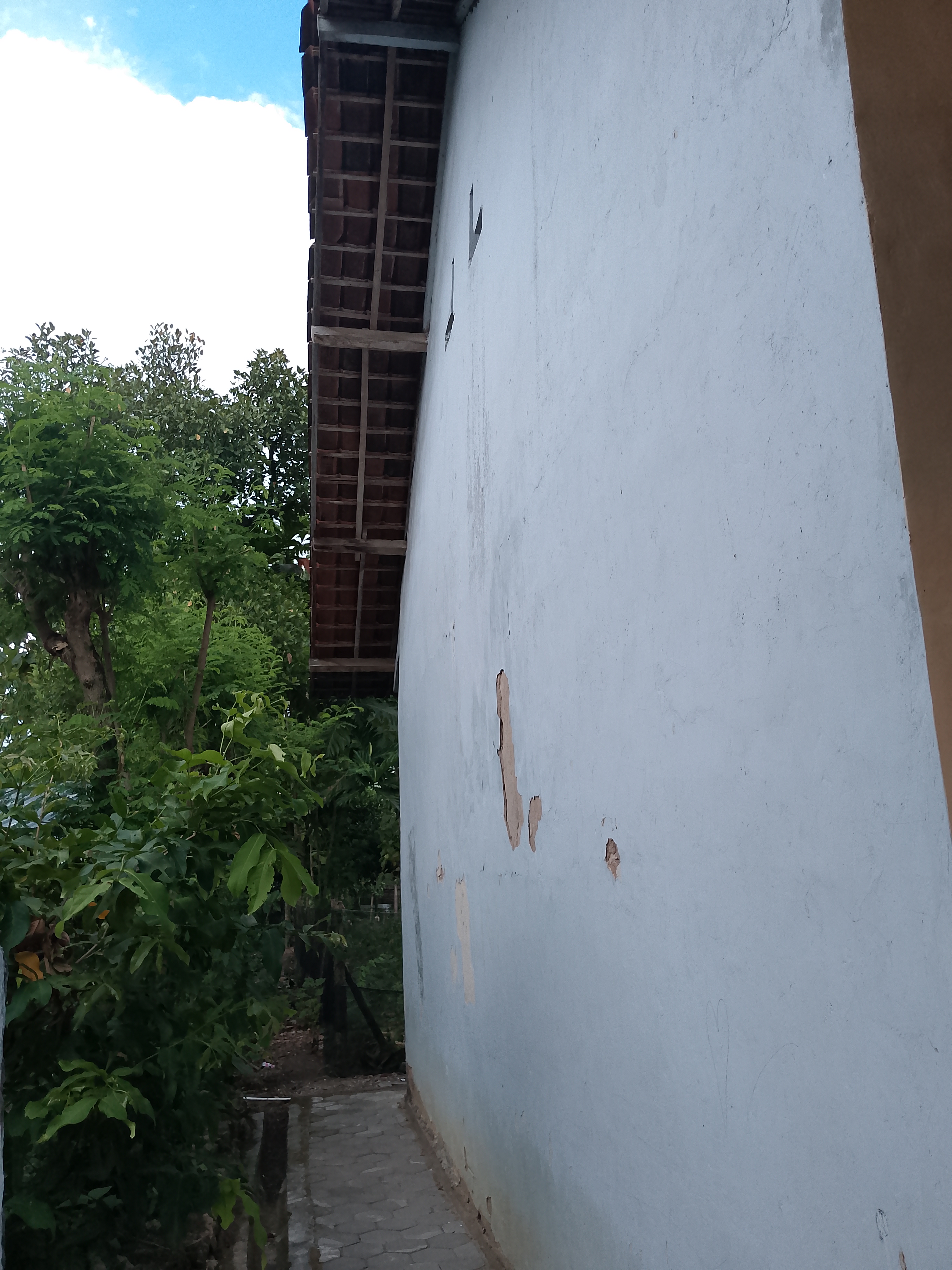 Tampak Samping 1